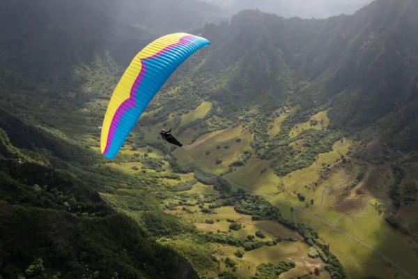 OZONE DELTA 4 Paraglider - Image 5
