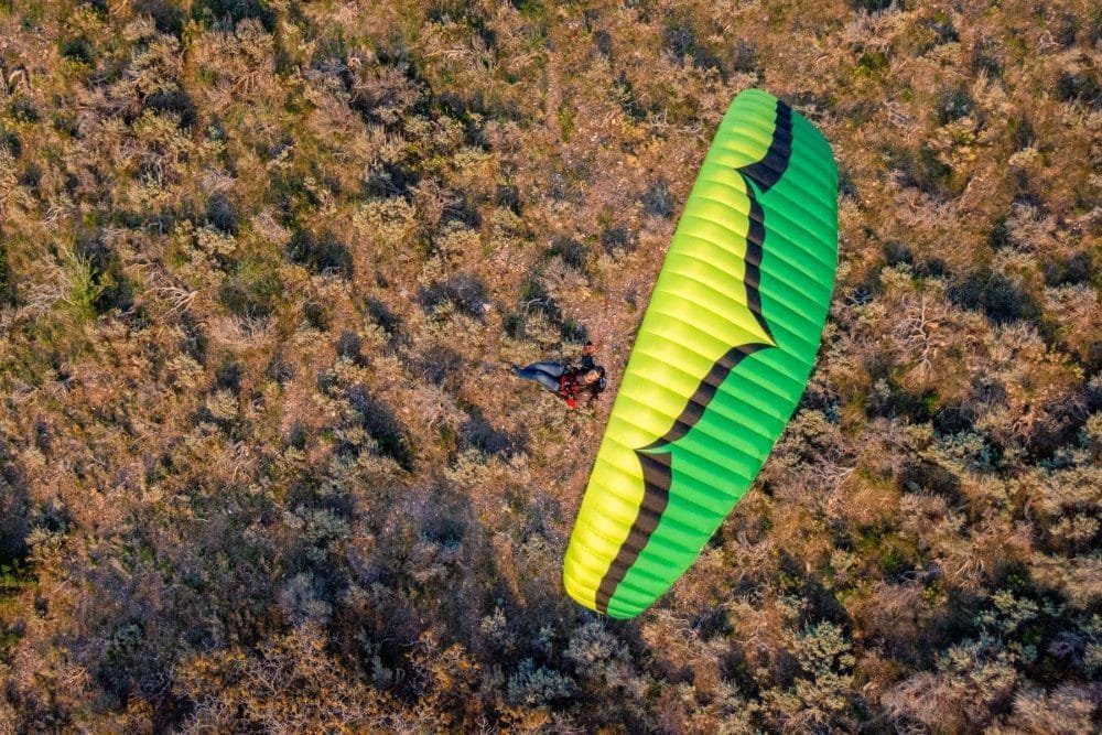 OZONE ZERO 3 Speed Wing