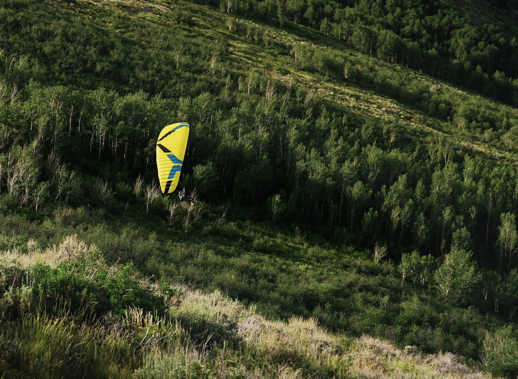 Ozone Litespeed 3Ozone Litespeed 3