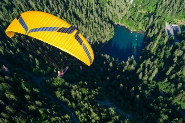 Ozone Swift 6