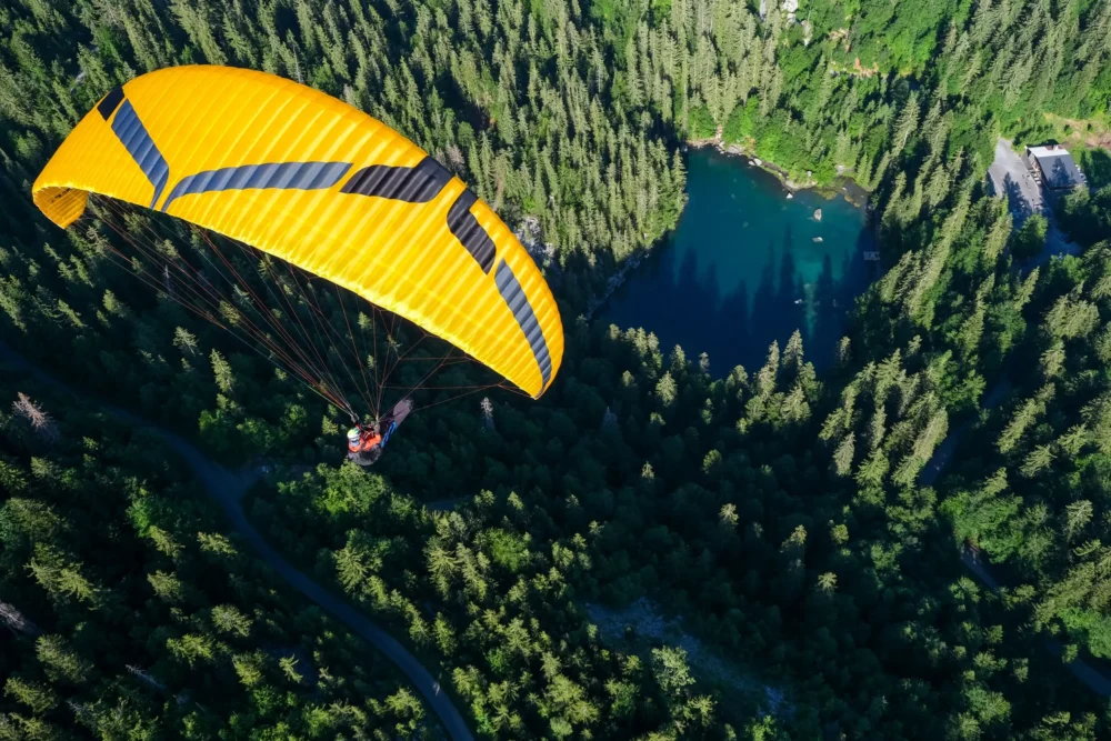 Ozone Swift 6