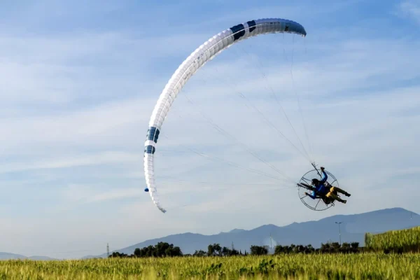 Ozone Viper 6 - Image 5