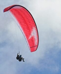 Swing TWIN RS 2