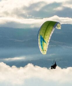 Swing Arcus 2 RS