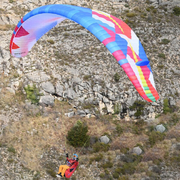 BGD BREEZE - Image 3