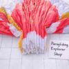 Used Nova Ion 6 Light Paraglider
